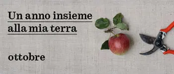 Banner pubblicitario