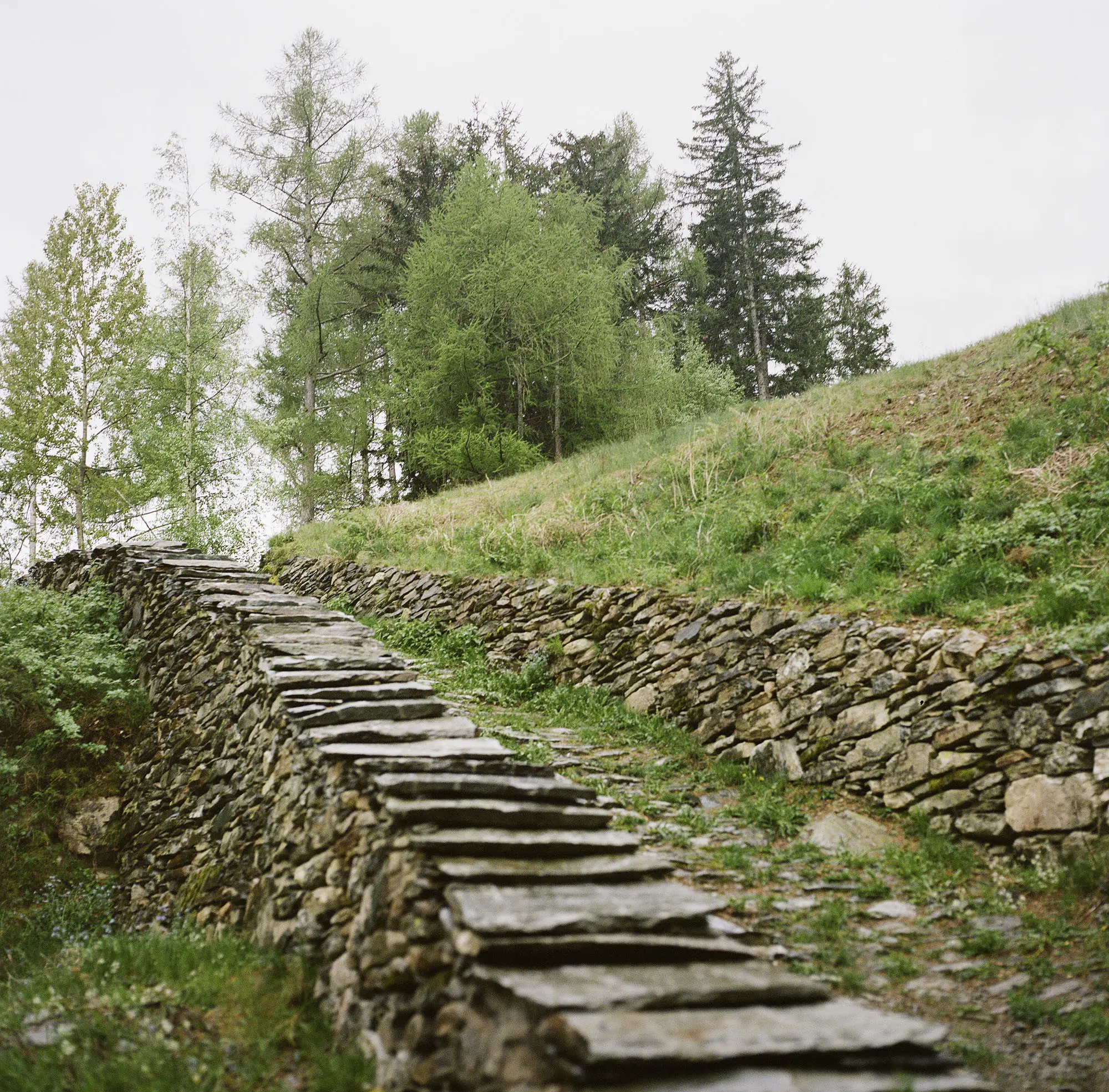 Sentiero di pietra con lastre, circondato da alberi e vegetazione verde. Un pendio collinare si staglia sullo sfondo. Il cielo è nuvoloso.