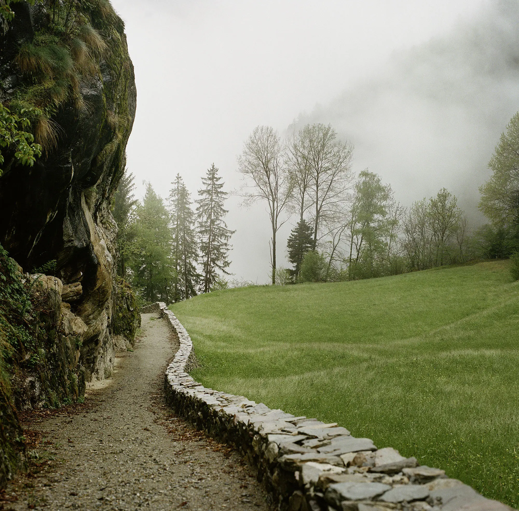 Un sentiero che si snoda tra un muro di pietra e una radura verde circondata da alberi, con nebbia che avvolge il paesaggio.