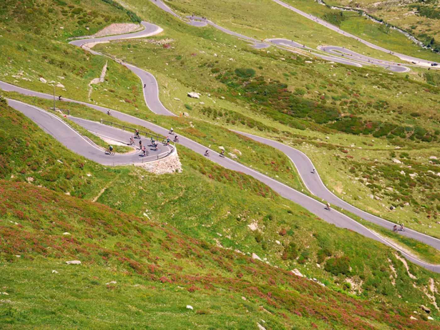 Un paesaggio montano con una strada tortuosa che si snoda attraverso colline verdi e fiori colorati. Alcuni ciclisti percorrono il sentiero.