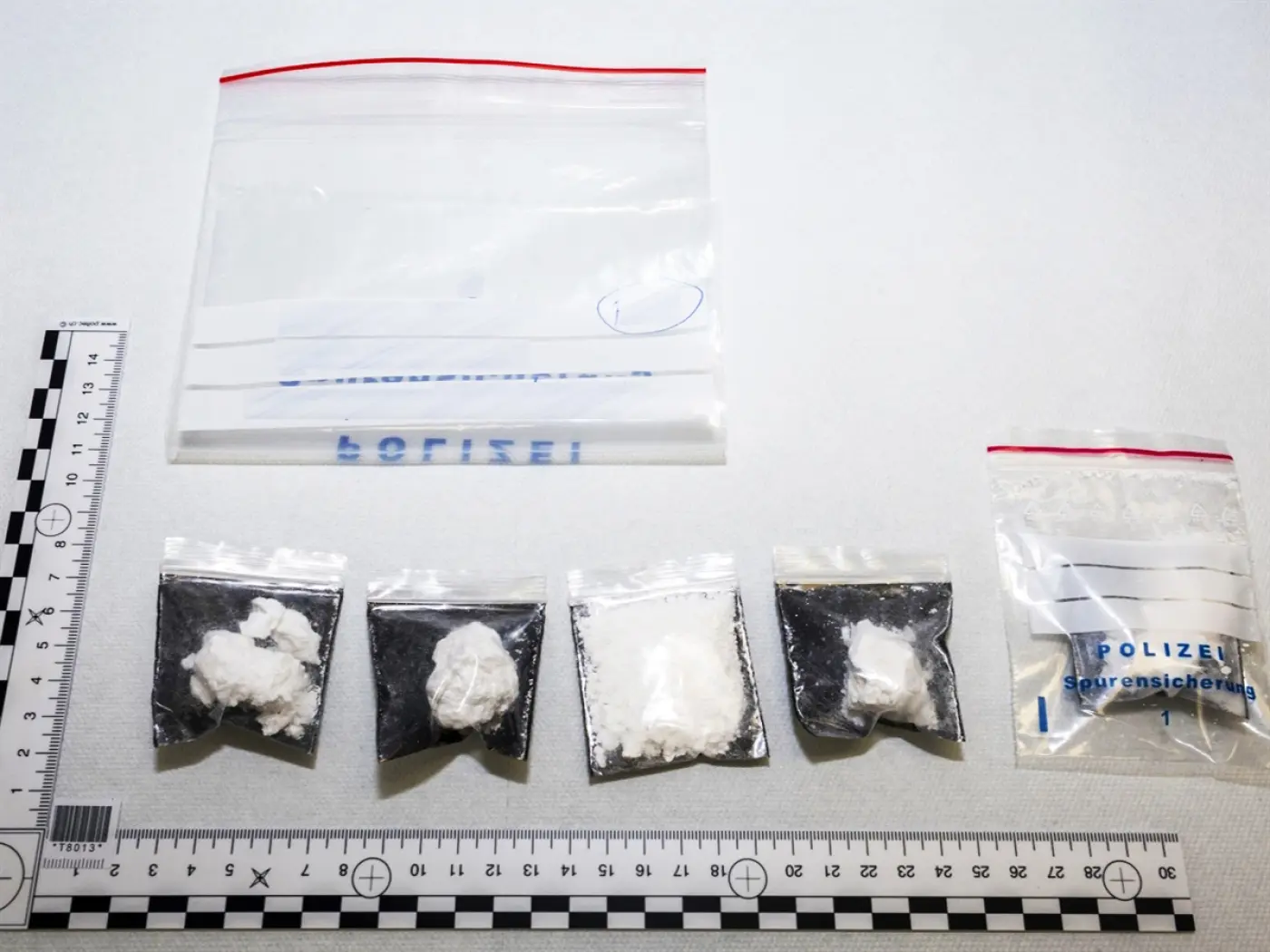 Sacchetti di plastica trasparente contenenti sostanze polverose, disposti su un piano bianco. Un sacchetto più grande è etichettato, mentre altri cinque sacchetti più piccoli contengono diverse varietà di polvere. Una guida a righe è presente per misurazione.