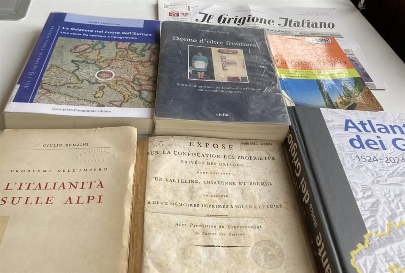 Moltissimi libri e riviste su temi storici e geografici, inclusi titoli come "La Svizzera nel cuore dell'Europa" e "L'Italianità sulle Alpi".