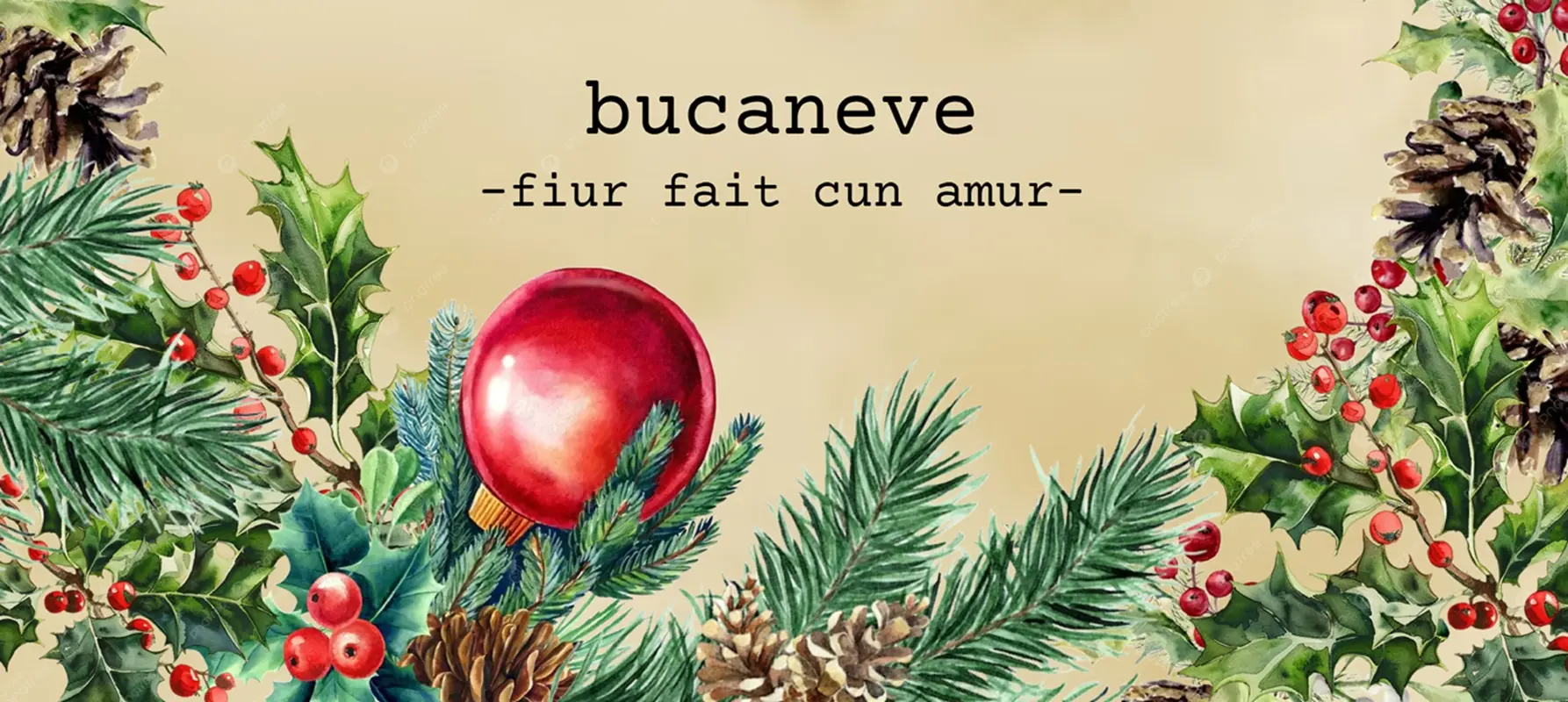 Design natalizio con rami di aghi di pino, bacche rosse e pigne. In alto al centro, un grande ornamento natalizio rosso. Il testo "bucaneve - fiur fait cun amur -" è scritto in caratteri eleganti.