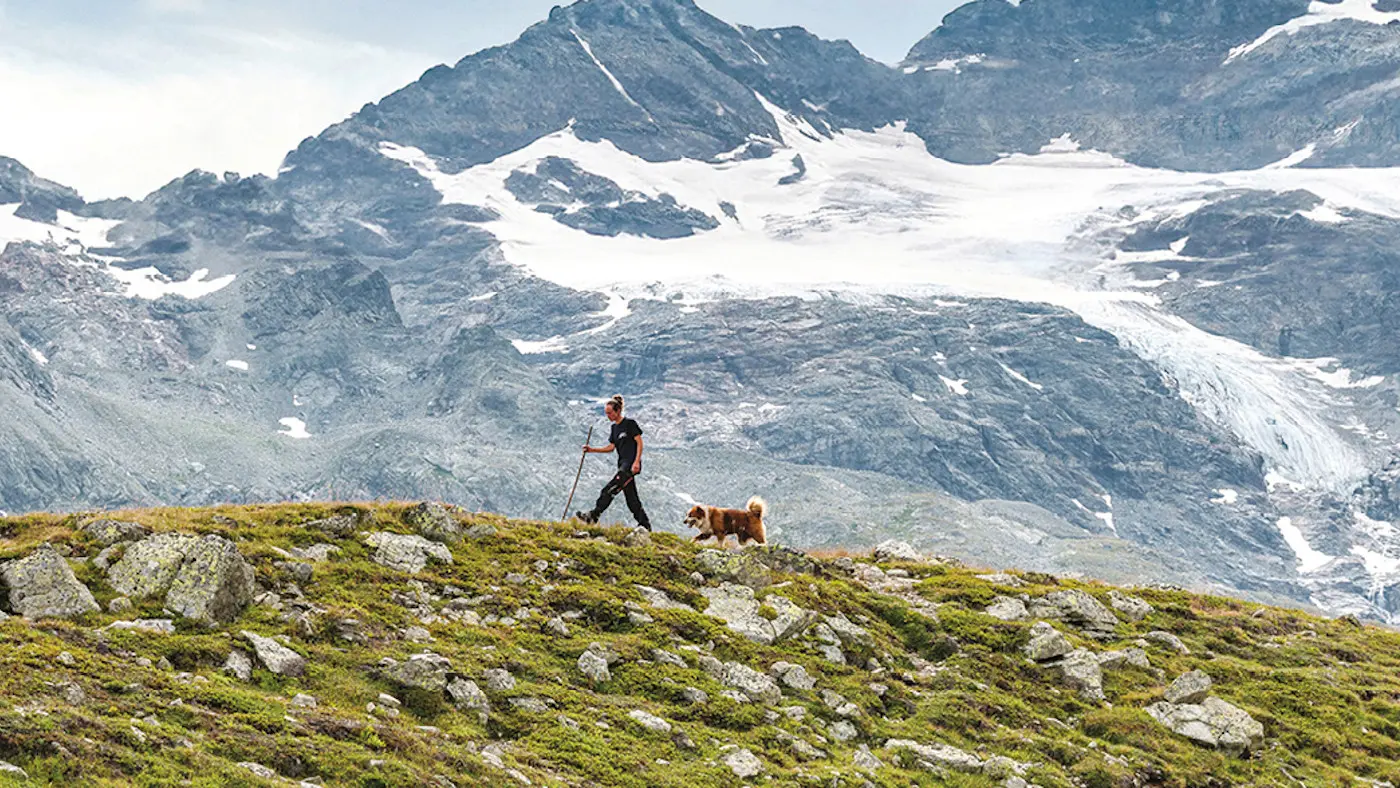 Una persona cammina su un sentiero montano, accompagnata da un cane. Sullo sfondo si ergono maestose montagne coperte di neve.