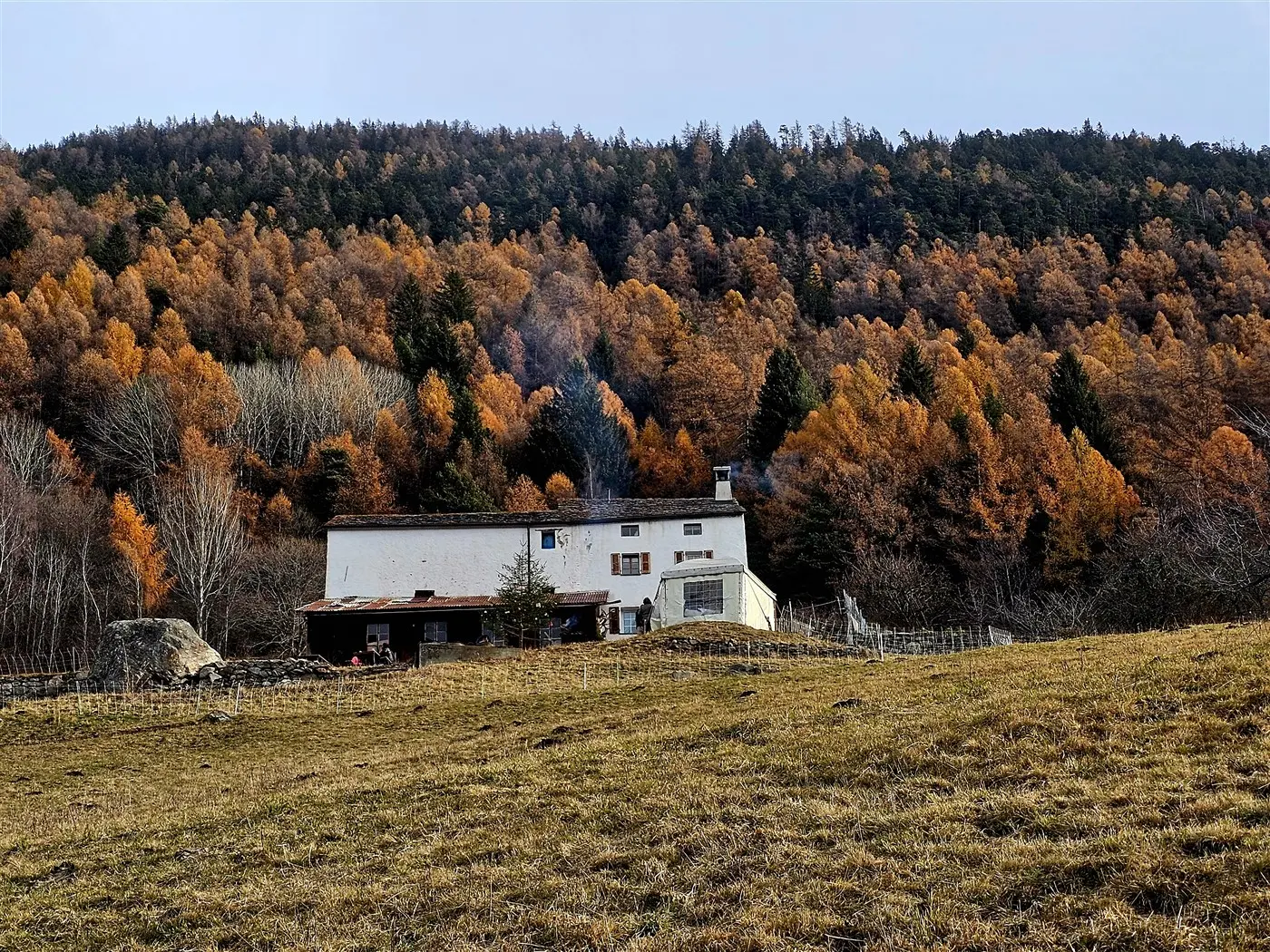 Una casa di campagna bianca situata in un paesaggio montano, circondata da alberi con foglie autunnali arancioni e verdi. Nel campo davanti, l