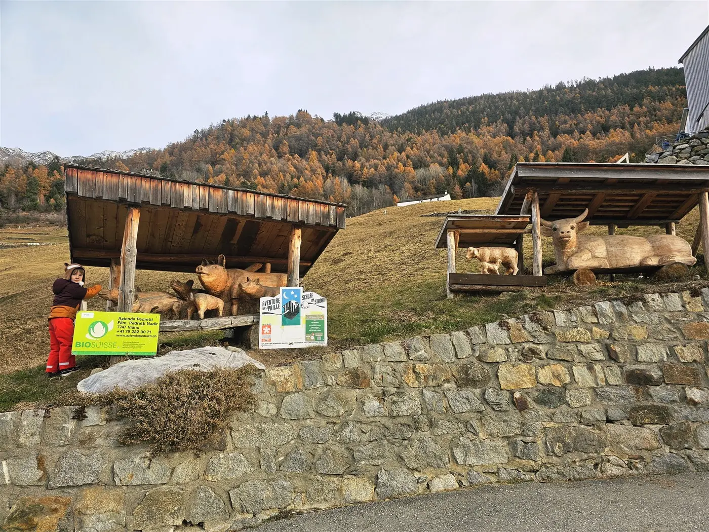 Una persona che lavora su opere in legno raffiguranti animali, con due strutture di legno nel paesaggio montano. Sullo sfondo si vedono alberi aut