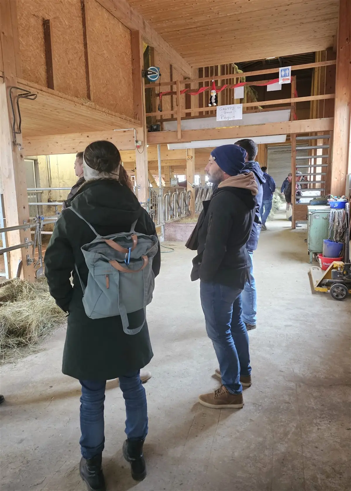 Un gruppo di persone sta osservando all'interno di una stalla, con attrezzature agricole visibili sullo sfondo. I partecipanti indossano abbigliamento caldo e mostr