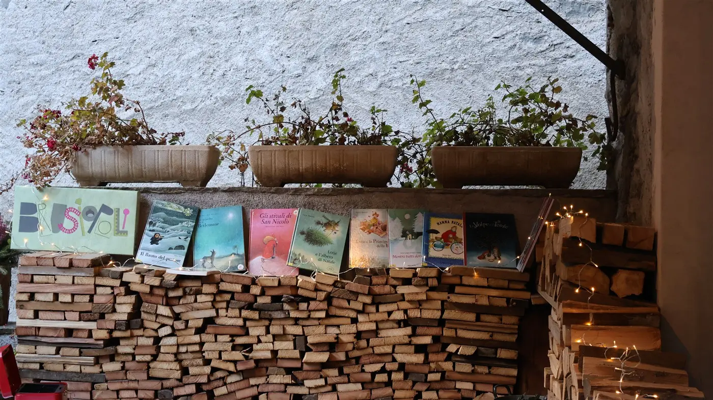 Una parete decorata con piante in vasi e una fila di libri illustrati, posizionati sopra un muretto di legna impilata. Sul muro si nota una scr