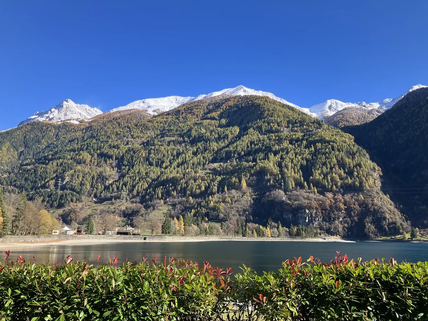 Panorama montano con alberi verdeggianti e una leggera coltre di neve sulla cima. In primo piano, una siepe di piante rosse. Il cielo è sereno e blu, mentre si riflette nel lago sottostante.