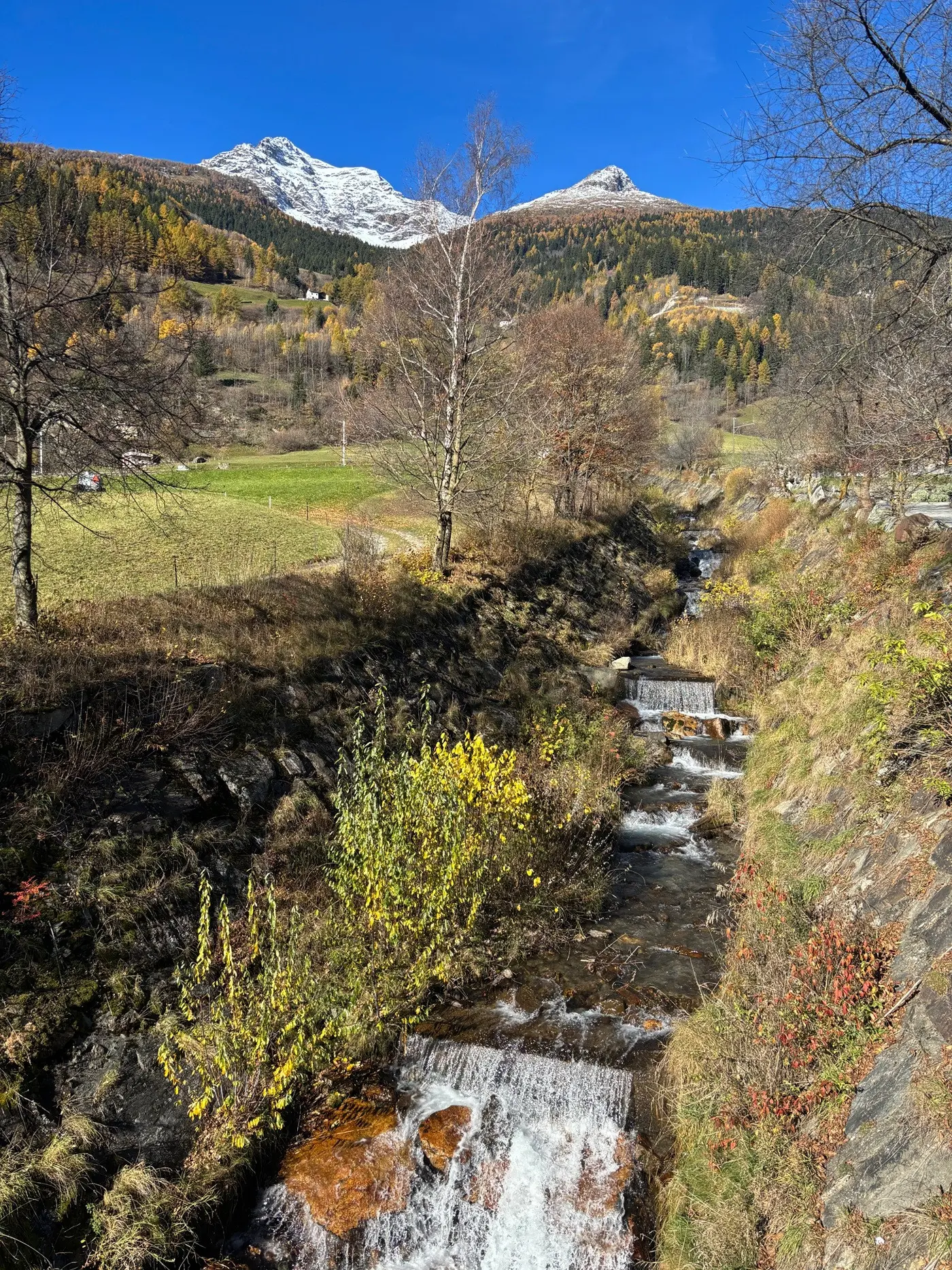 Un ruscello scorre tra la vegetazione autunnale, circondato da alberi che mostrano foglie dorate e alcune cime montuose coperte di neve sullo sfondo. Il cielo è sereno e blu.