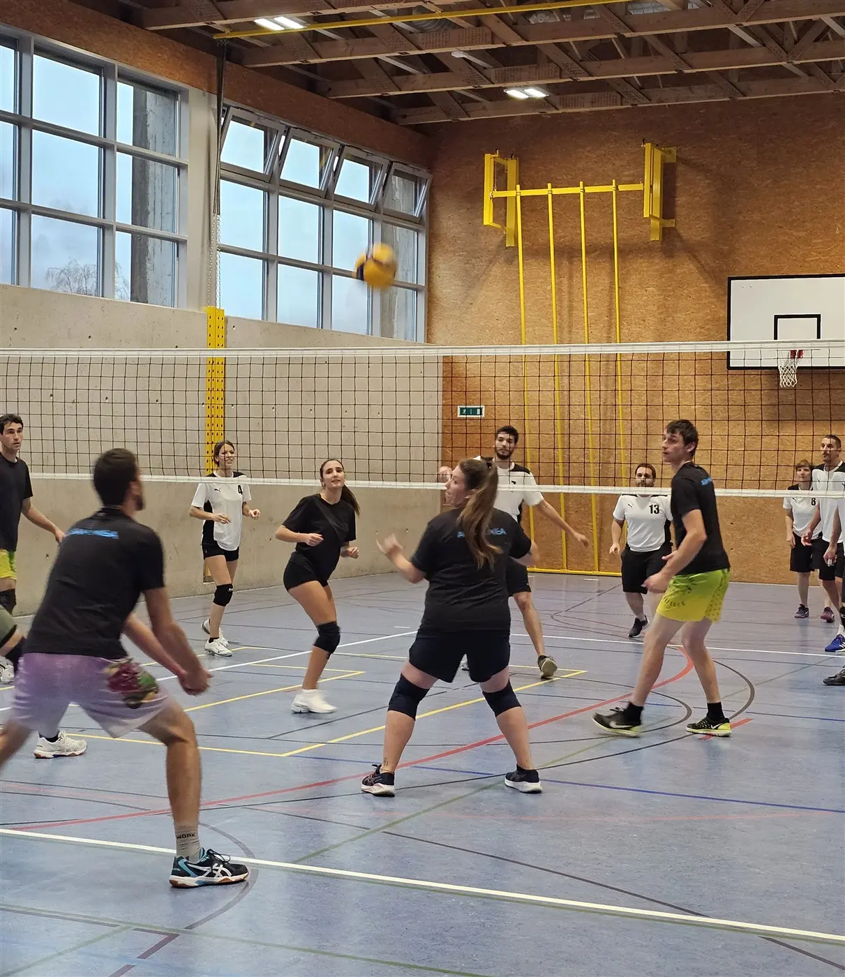 Un gruppo di persone gioca a pallavolo in una palestra. Due squadre si sfidano mentre una pallava è lanciata in aria. Gli atleti indossano magliette e pantaloni sportivi. Le pareti della palestra sono decorate con reti e canestri