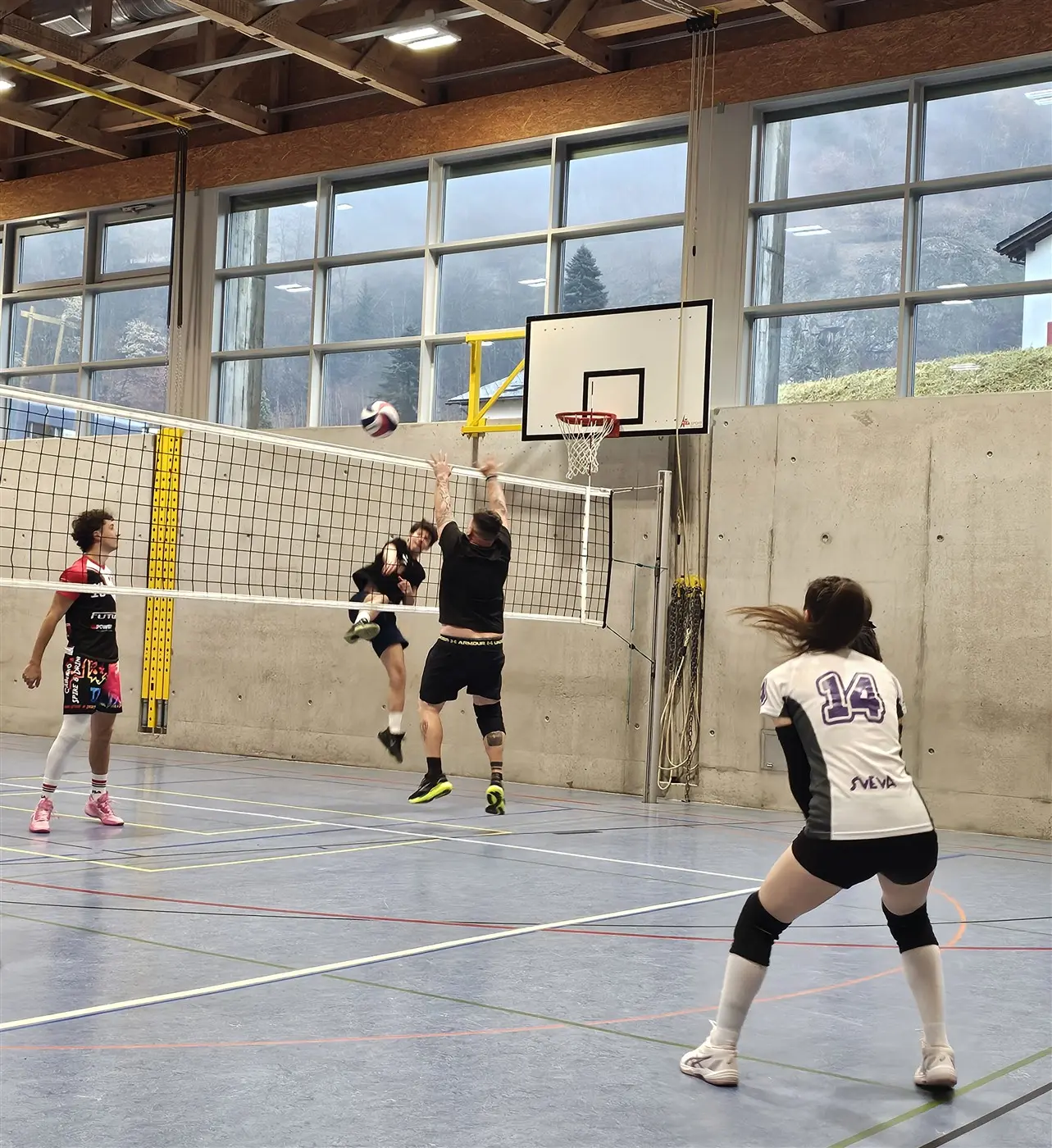 Giocatori di pallavolo in azione dentro una palestra. Un giocatore salta per colpire la palla sopra la rete, mentre altri si preparano per ricevere. La palestra ha grandi finestre e un canestro di basket visibile sul fondo.