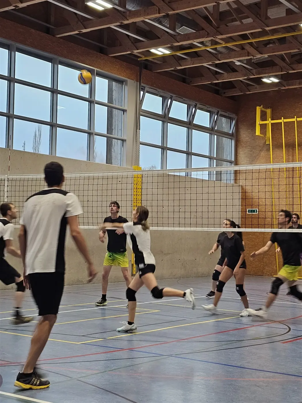 Giocatori di pallavolo in una palestra durante una partita. Un pallone è in volo verso il gruppo di giocatori mentre si preparano a riceverlo. Il campo è circondato da finestre grandi che lasciano filtrare la luce.