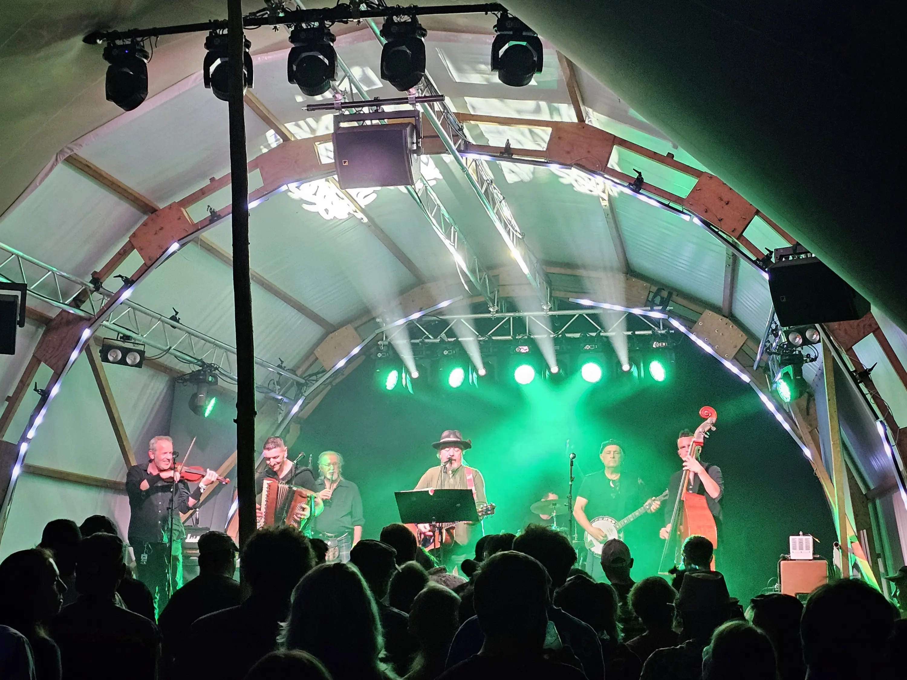 Un gruppo musicale si esibisce su un palco con luci verdi, circondato da un pubblico entusiasta. Gli artisti utilizzano strumenti come violino, fisarmonica e contrabbasso.