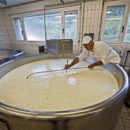 Didascalia: Antonio Gicomelli, in arte Toni, sarà il garante della qualità del formaggio anche nel nuovo caseificio (foto di Federico Pollini).