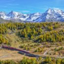 Ferrovia del Bernina, Alp Grüm