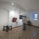 mostra collettiva pgi (22)