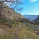 terrazzamenti-agricoltura brusio