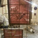 Giardino mostra agosto 24 (6)