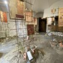 Giardino mostra agosto 24 (7)